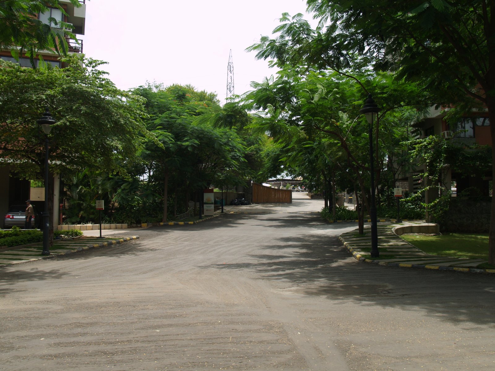 Mahindra Woods